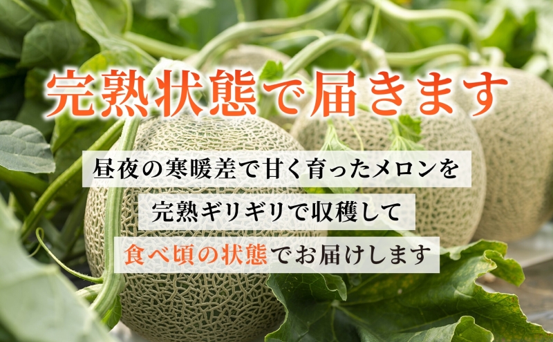 北海道伊達市のふるさと納税 北海道産 有珠メロン 3玉 セット Lサイズ 1.6kg以上 赤肉×1 青肉×2 計3玉 食べ比べ ツル付き 果物 めろん フルーツ くだもの 完熟 旬 ご褒美 ギフト 産地直送 お取り寄せ 北海道 藤川農園 送料無料 伊達