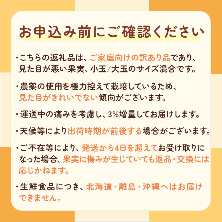 和歌山県美浜町のふるさと納税 家庭用 蔵出しみかん7kg+210g（傷み補償分）わけあり｜有田の蔵出しみかん　わけあり・訳あり　光センサー選果　※北海道・沖縄・離島への配送不可　※2025年1月中旬～2月下旬頃に順次発送予定