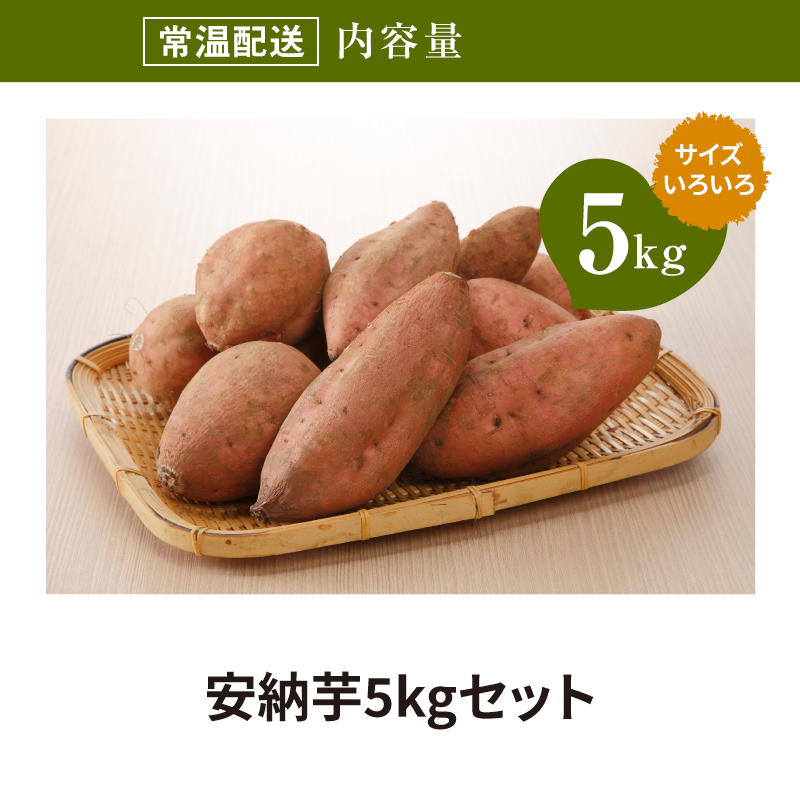 宮崎県木城町のふるさと納税 【先行予約】（９月下旬ごろより発送）農家直送　木城町産　熟成安納いも5kg K30_0001