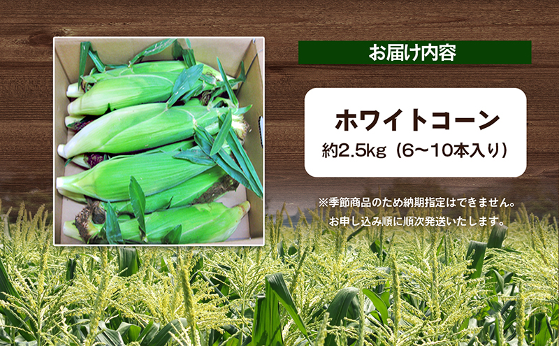 香川県東かがわ市のふるさと納税 ホワイトコーン 約2.5kg 野菜 とうもろこし 野菜セット