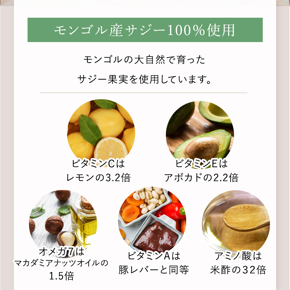 茨城県古河市のふるさと納税  サジージュース 100% 1000ml×2本セット | サジージュース サジー シーベリー 沙棘 グアマラル 健康ドリンク ドリンク ジュース 健康 美容 栄養 果汁 鉄分補給 栄養補給 健康食品 贈答 贈り物 プレゼント ギフト 茨城県 古河市 送料無料 _DX04