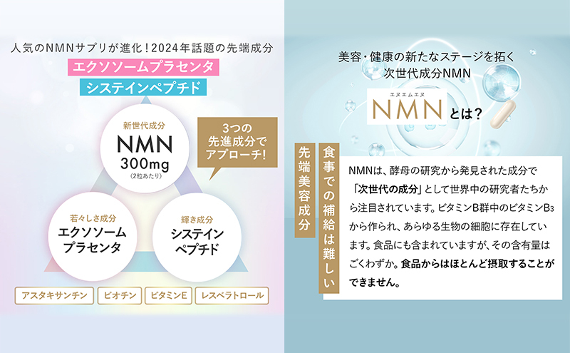 岐阜県池田町のふるさと納税 ハルクファクター NMN 9300mg 大容量 31日分 エイジングケア サプリメント 抗酸化 ビタミンC サプリ レスベラトロール プラセンタ アスタキサンチン マルチビタミン 栄養機能食品 国産 人気 美容