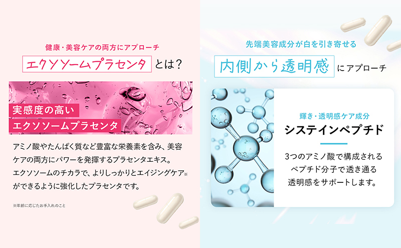 岐阜県池田町のふるさと納税 ハルクファクター NMN 9300mg 大容量 31日分 エイジングケア サプリメント 抗酸化 ビタミンC サプリ レスベラトロール プラセンタ アスタキサンチン マルチビタミン 栄養機能食品 国産 人気 美容