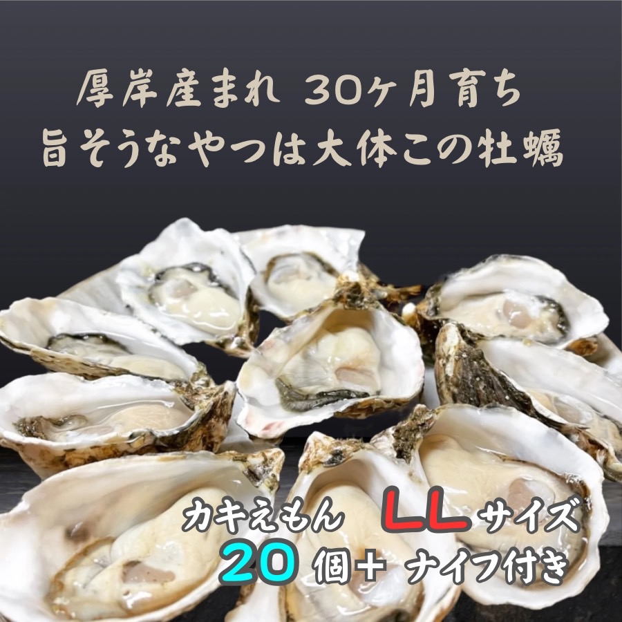 厚岸で産まれ30ヵ月育成 北海道 厚岸産 牡蠣 カキえもん LLサイズ 20個 カキ