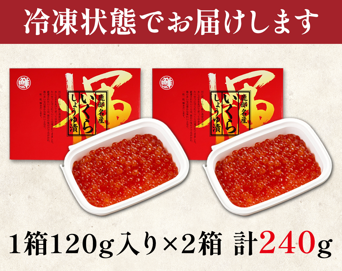 北海道鹿部町のふるさと納税 【小分けで便利！】いくら 北海道産 240g (120g×2パック) 小分け イクラ しょうゆ漬け 丸鮮道場水産 いくら丼 手巻き寿司 ご飯のお供 小分け 食べ切り 魚卵 海鮮 魚介類 冷凍 いくら イクラ 醤油いくら