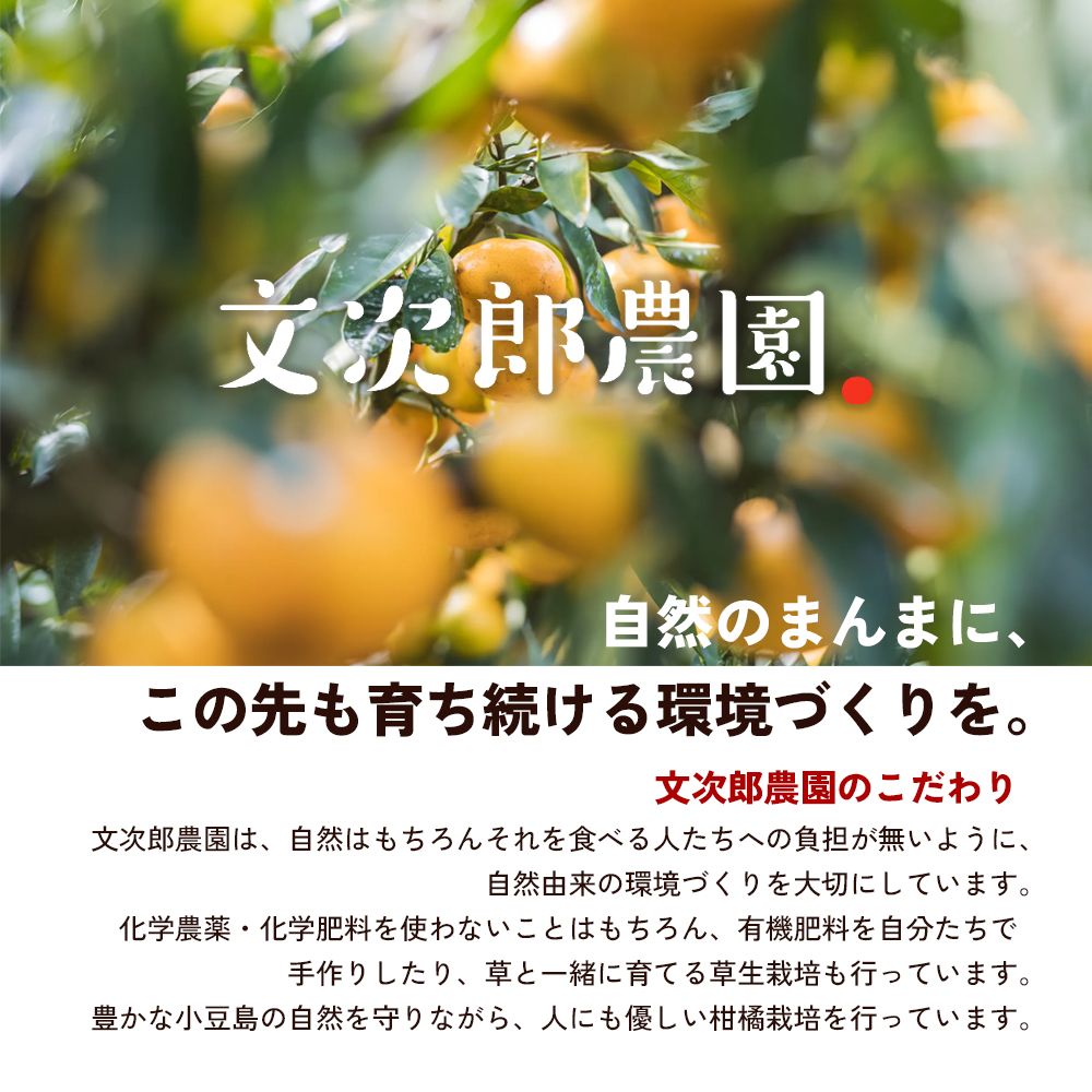 【 小豆島 】文次郎農園 小豆島100％ みかんのわいん 750ml お酒 酒 ワイン みかん 蜜柑 ミカン 温州みかん 香川 香川県 土庄 土庄町