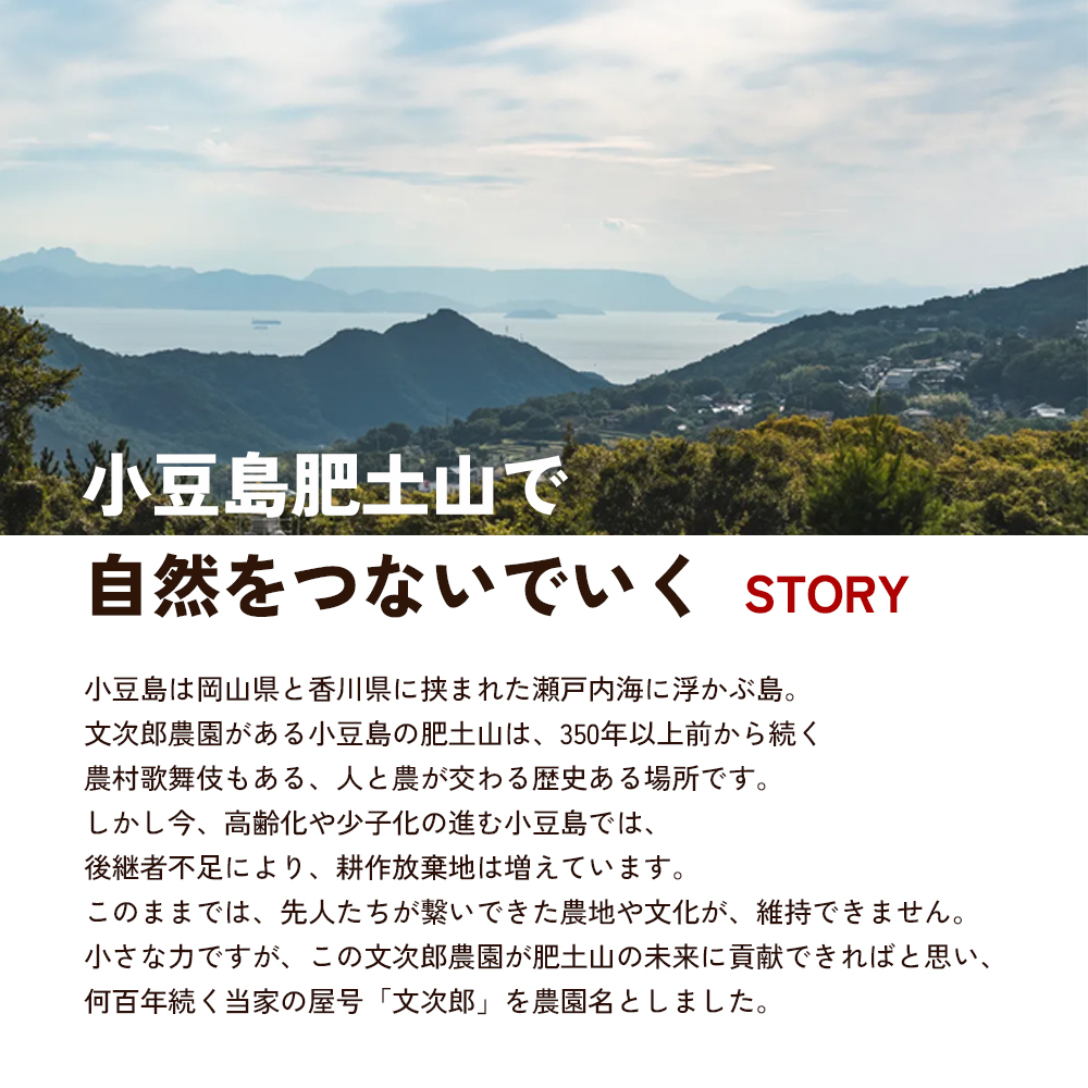 【 小豆島 】文次郎農園 小豆島100％ みかんのわいん 750ml お酒 酒 ワイン みかん 蜜柑 ミカン 温州みかん 香川 香川県 土庄 土庄町