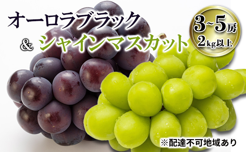 岡山県産オーロラブラック 4房 オーロラブラック 秀品 岡山産 2kg 約4～5房 岡山ぶどう 岡山
