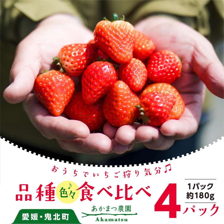 2026年春収穫分】【先行受付】【食べ比べ】 いちご4パック
