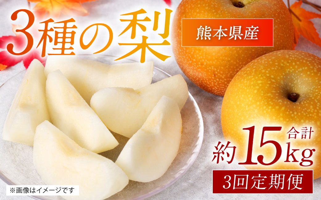 【先行予約】 熊本県産 3種の梨の定期便 
