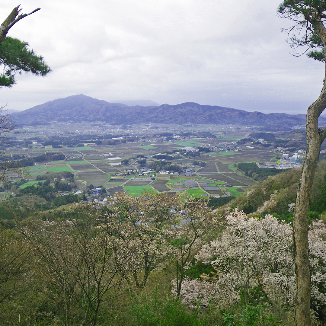 古い工芸品の鉄の石の彫刻や花の筆洗や古遊びの文壇用品 古い工芸品の鉄の石の彫刻や花の筆洗や古遊び