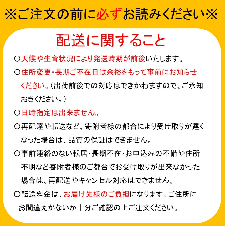 千葉県船橋市のふるさと納税 2024年発送分【贈答用】極上梨「あきづき」3kg　果汁たっぷり　船橋産　9月中下旬発送　期間限定　梨　夏　6～9玉　なし　水菓子　果物　デザート