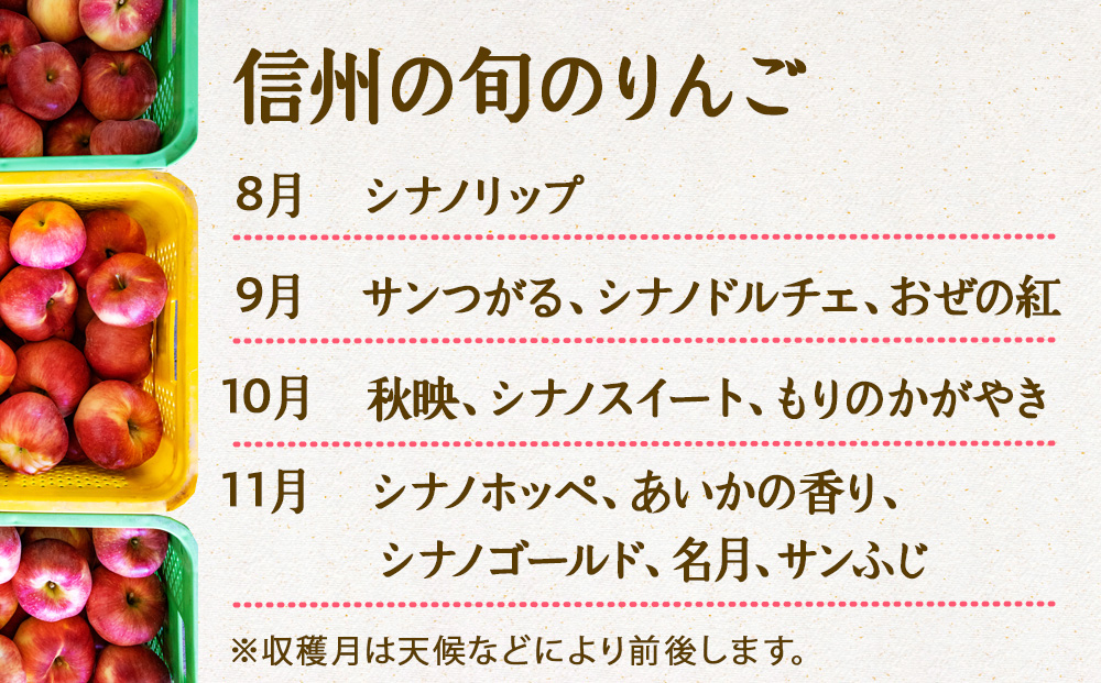 長野県箕輪町のふるさと納税 【2025年/令和7年度発送分 】信州の旬のりんごおまかせ約3kgセット りんご リンゴ 林檎 長野 フルーツ 果物 信州産 長野県産 特産 産地直送 おすすめ