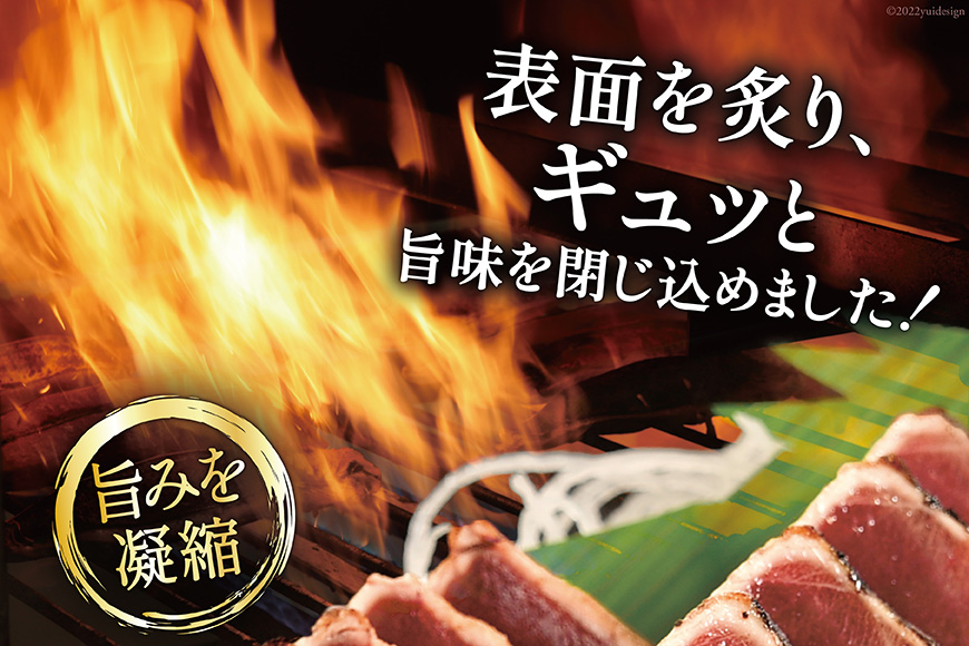 訳あり 気仙沼港水揚 かつお タタキ 600g [阿部長商店 宮城県