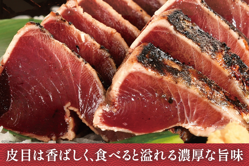 訳あり 気仙沼港水揚 かつお タタキ 600g [阿部長商店 宮城県