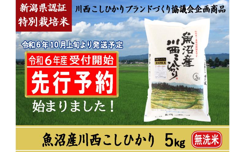 【先行予約】【無洗米】魚沼産川西こしひかり5kg 新潟県認証特別栽培米 令和6年度米＜令和6年10月上旬～発送予定＞