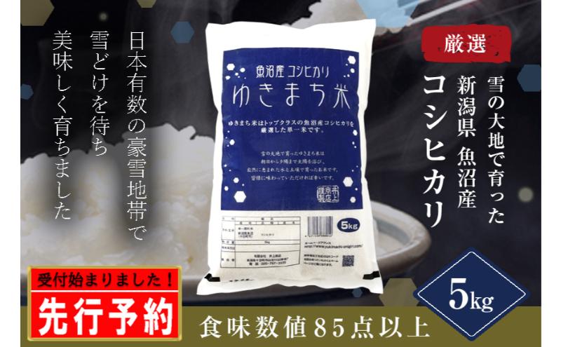 【先行予約】ゆきまち米5kg【極上魚沼産コシヒカリ】令和6年度米＜令和6年10月上旬～発送予定＞