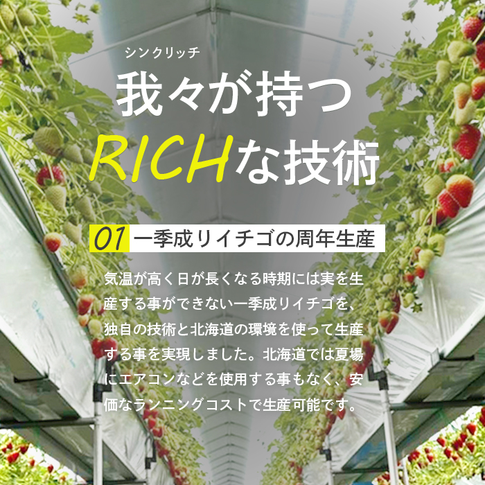 北海道中標津町のふるさと納税 【セゾン限定】【受注後、随時発送！】【北海道産】ゆきいちご（白いちご） ゆきぼたん 2Pセット 250g×2 計500g【59004】