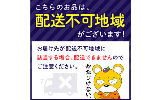 大阪府泉南市のふるさと納税 【真空パック】サスティブブランケット（ひざ掛け）1枚【091D-001】