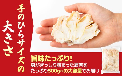 北海道登別市のふるさと納税 量が選べる！本ズワイガニ 肩肉 1kg（1000g） カニ用フォーク付き！