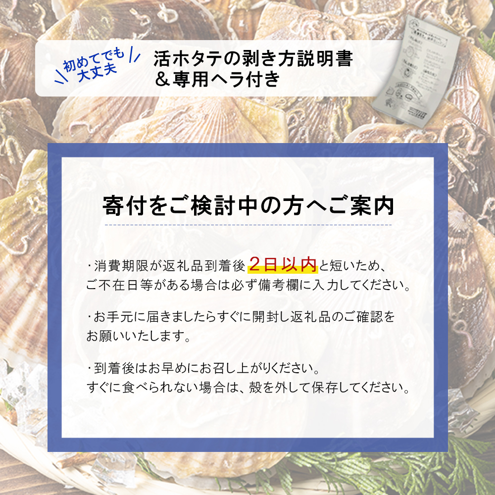 北海道羽幌町のふるさと納税 北海道 羽幌町産 殻付き活ホタテ 約3kg（15～20枚・ヘラ付き）【0910202】