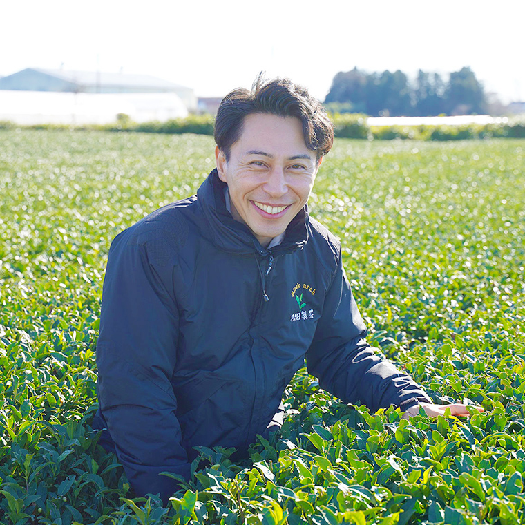 専用品　茶色のみ お茶 レモン緑茶／2g×10 ティーバッグ 爽やかな気分に 猿島茶