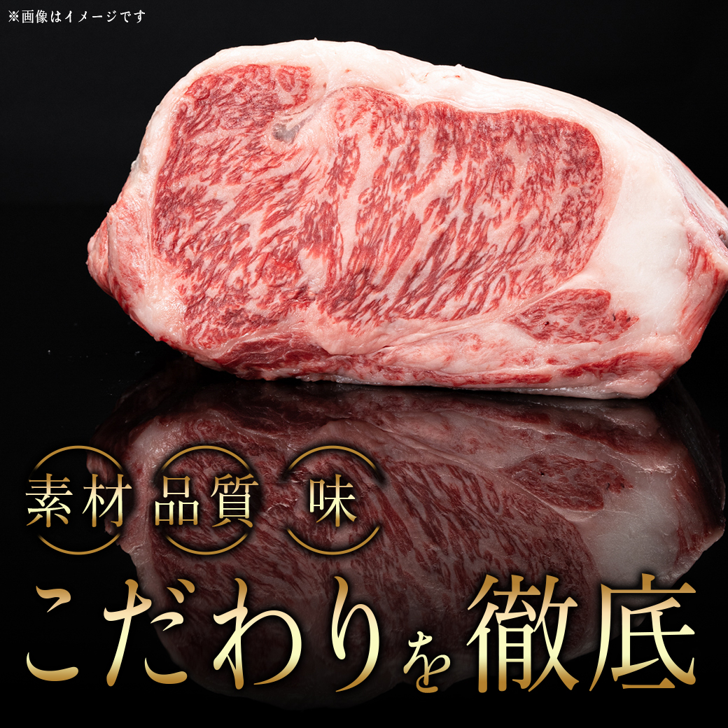 宮崎牛サーロインステーキ200g×3枚_MA-6401|HEARTY　ながやま