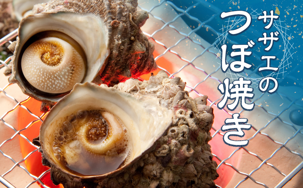 三重県南伊勢町のふるさと納税 （冷蔵）地物　活きサザエAコース　1kg（8～12ヶ入り）／貝　壺焼　さざえ　海の幸　新鮮　伊勢志摩