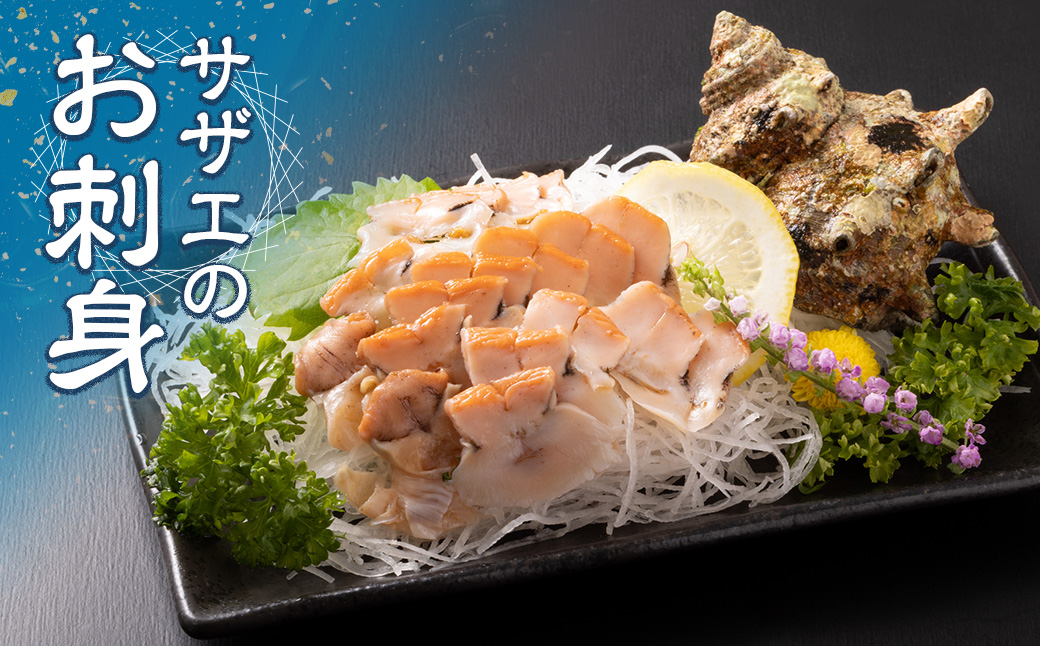 三重県南伊勢町のふるさと納税 （冷蔵）地物　活きサザエAコース　1kg（8～12ヶ入り）／貝　壺焼　さざえ　海の幸　新鮮　伊勢志摩