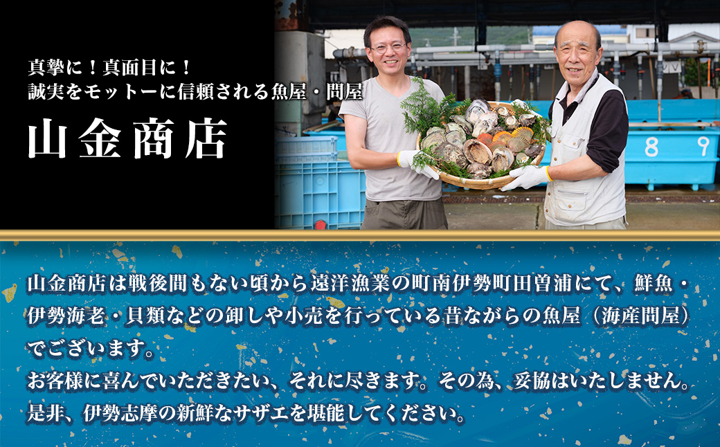 三重県南伊勢町のふるさと納税 （冷蔵）地物　活きサザエAコース　1kg（8～12ヶ入り）／貝　壺焼　さざえ　海の幸　新鮮　伊勢志摩
