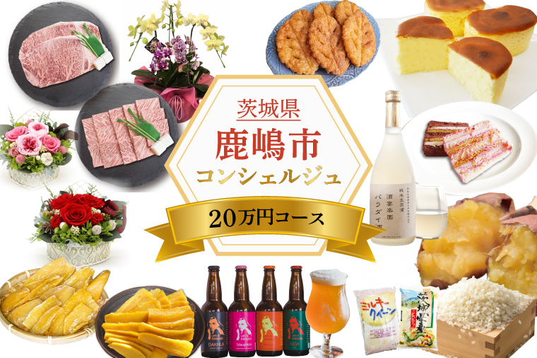 【茨城県鹿嶋市】【提案型】コンシェルジュコース(20万円)(ZY-4)