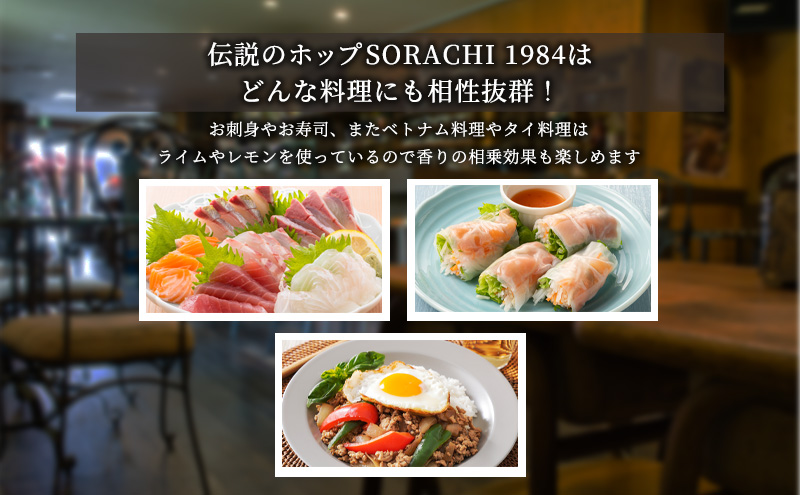 北海道上富良野町のふるさと納税 上富良野町発祥！伝説のホップ「ソラチエース」使用【SORACHI 1984】350ml×48缶 (有)リカーショップかまだ 北海道 上富良野町 ソラチ1984 お酒 酒 飲み物 ビール 地ビール サッポロビール サッポロ ギフト