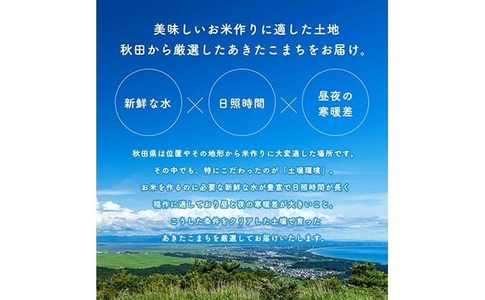 秋田県男鹿市のふるさと納税 R6年度産 家計お助け米 あきたこまち 精米 20kg 秋田県 男鹿市 【こまちライン】