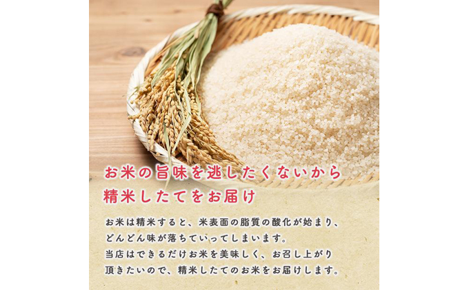 秋田県男鹿市のふるさと納税 R6年度産 家計お助け米 あきたこまち 精米 20kg 秋田県 男鹿市 【こまちライン】