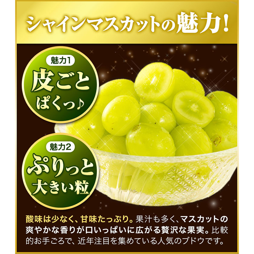 岡山県浅口市のふるさと納税 【先行予約】厳選 シャインマスカット 1房 (約650g) 訳あり《2024年9月中旬-11月上旬頃出荷》マスカット 送料無料 岡山県 浅口市 シャインマスカット ぶどう フルーツ 果物 贈り物 ギフト 国産 岡山県産