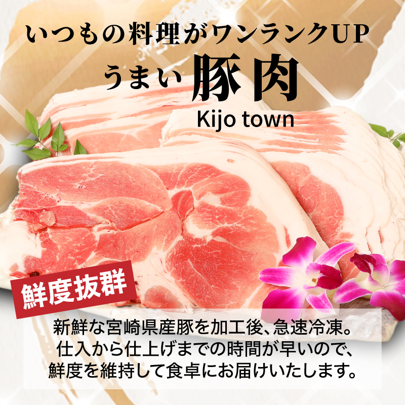 宮崎県木城町のふるさと納税 【訳あり】宮崎県産豚切り落とし5kg(500g×10パック) K16_0055_S