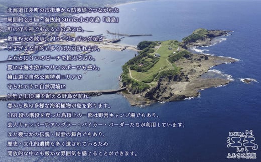 北海道江差町のふるさと納税 《かもめ島マリンピング2024》高級グランピングプラン『ISLAND（アイランド）』ペア1泊2日利用券　ドームテント宿泊　シングルベッド×4　利用人数追加可能　冷暖房・コンセントあり　フルサポートキャンプ　海鮮BBQディナー　焚火マシュマロ　朝食付き　アクティビティ　マリンスポーツ　SUP　シュノーケリング　海水浴　釣り　檜山道立自然公園特別エリア