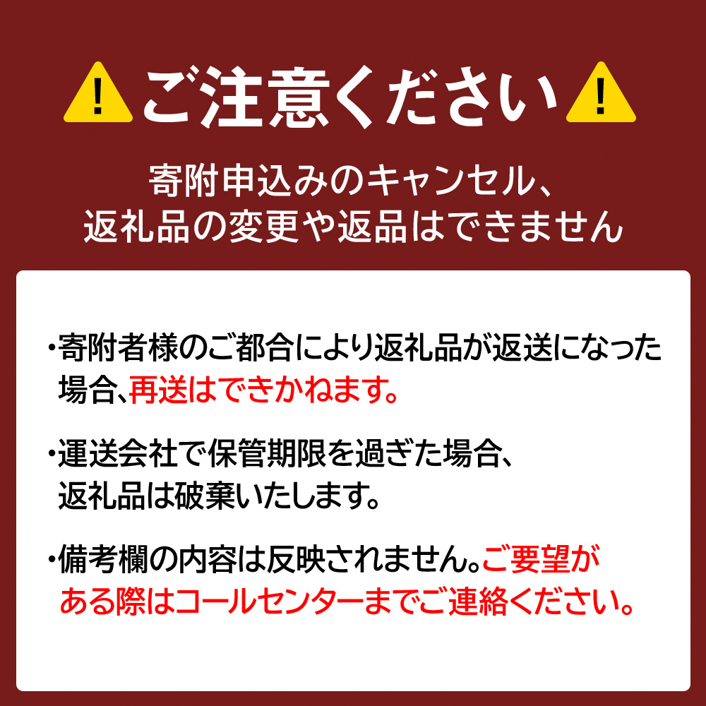 北海道白老町のふるさと納税 牛の里ビーフハンバーグ（110g×10個） 特製ソース（10袋） の詰合せ