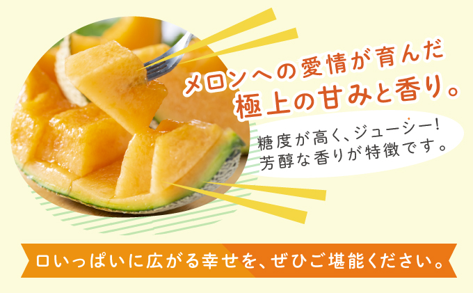 北海道富良野市のふるさと納税 【2024年6月下旬～発送】ふらの 赤肉 メロン 1玉入 約1.7kg～2kg 北海道 富良野市 (相馬農園) メロン フルーツ 果物 新鮮 甘い 贈り物 ギフト 道産 ジューシー おやつ ふらの ブランド 夏