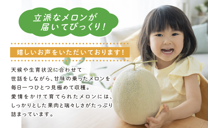 北海道富良野市のふるさと納税 【2024年6月下旬～発送】ふらの 赤肉 メロン 1玉入 約1.7kg～2kg 北海道 富良野市 (相馬農園) メロン フルーツ 果物 新鮮 甘い 贈り物 ギフト 道産 ジューシー おやつ ふらの ブランド 夏