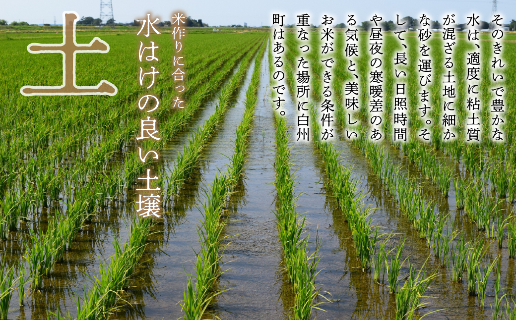 山梨県富士河口湖町のふるさと納税 【令和5年産】山梨ふるさと米（無洗米）　6kgセット FCW001