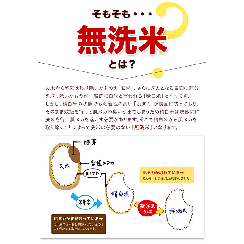 熊本県御船町のふるさと納税 無洗米 早期先行予約受付中 訳あり 家庭用 熊本ふるさと 無洗 米 選べる内容量 5kg 10kg 12kg 15kg 18kg 20kg 無洗米 米 コメ 熊本県産《10月-11月より出荷予定》 洗わず コロナ おうちご飯 お米 おこめ 送料無料 熊本 御船 ライス SDGs ふるさと無洗米