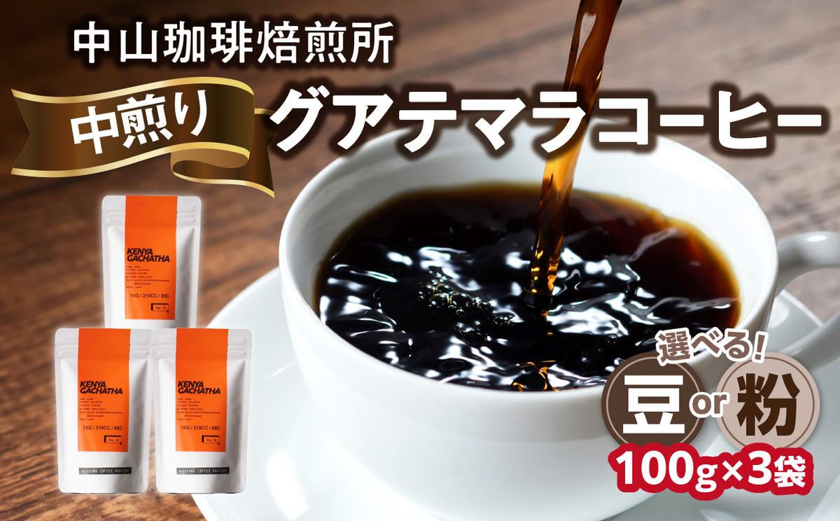 自家焙煎コーヒー 中煎り グアテマラ[豆/粉]100g×3袋(合計300g)中山珈琲焙煎所 コーヒー豆 コーヒー 自家焙煎 珈琲 グアテマラ コーヒー ロースト 中煎り 京都府 木津川市[056-14]