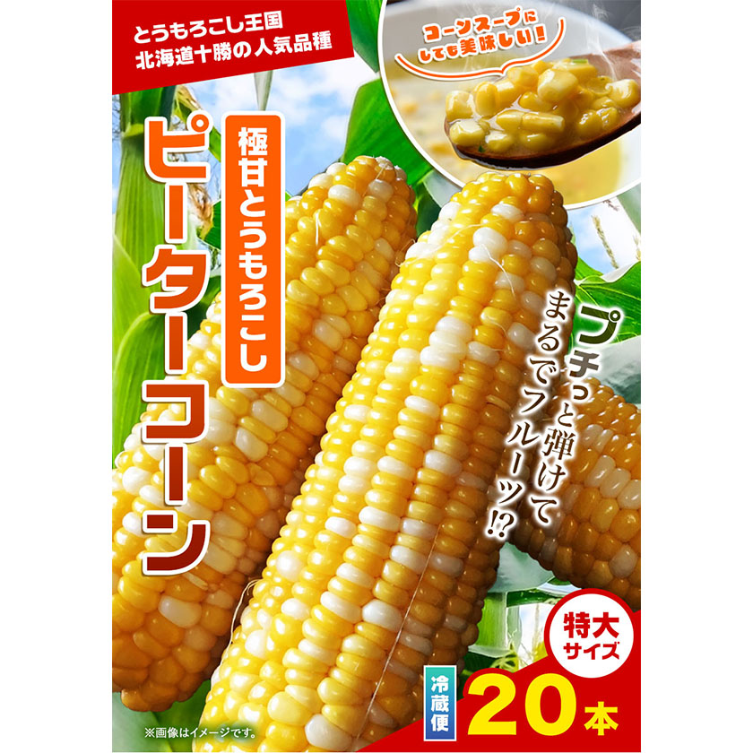 北海道本別町のふるさと納税 極甘とうもろこし ピーターコーン 20本 特大サイズ(1本380g以上) 高橋賢三【先行予約】《2025年8月上旬-9月中旬頃出荷》 送料無料 北海道 本別町 北海道 十勝 本別町産 極甘 特大 とうもろこし バイカラー フルーティー とうきび トウモロコシ 高糖度 夏野菜 旬
