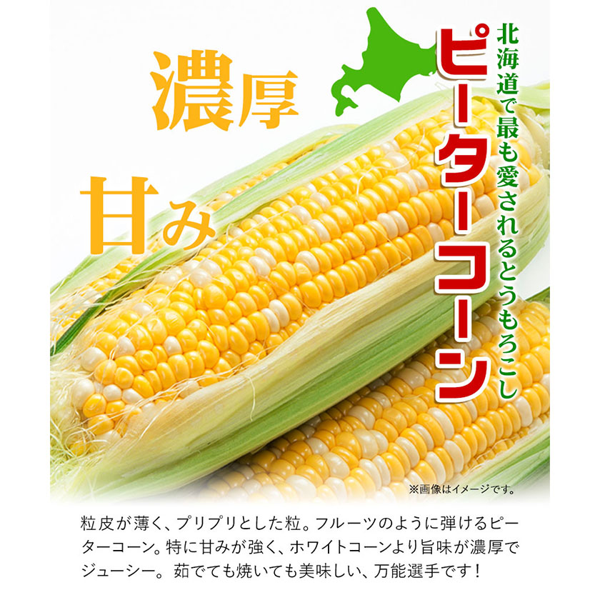 北海道本別町のふるさと納税 極甘とうもろこし ピーターコーン 20本 特大サイズ(1本380g以上) 高橋賢三【先行予約】《2025年8月上旬-9月中旬頃出荷》 送料無料 北海道 本別町 北海道 十勝 本別町産 極甘 特大 とうもろこし バイカラー フルーティー とうきび トウモロコシ 高糖度 夏野菜 旬