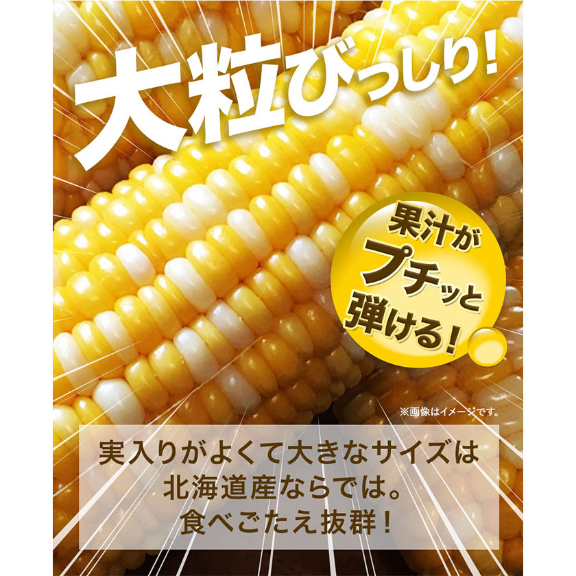 北海道本別町のふるさと納税 極甘とうもろこし ピーターコーン 20本 特大サイズ(1本380g以上) 高橋賢三【先行予約】《2025年8月上旬-9月中旬頃出荷》 送料無料 北海道 本別町 北海道 十勝 本別町産 極甘 特大 とうもろこし バイカラー フルーティー とうきび トウモロコシ 高糖度 夏野菜 旬
