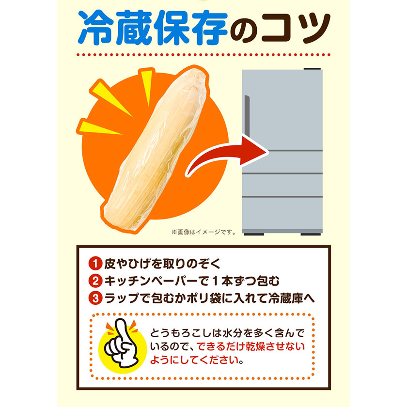 北海道本別町のふるさと納税 極甘とうもろこし ピーターコーン 20本 特大サイズ(1本380g以上) 高橋賢三【先行予約】《2025年8月上旬-9月中旬頃出荷》 送料無料 北海道 本別町 北海道 十勝 本別町産 極甘 特大 とうもろこし バイカラー フルーティー とうきび トウモロコシ 高糖度 夏野菜 旬