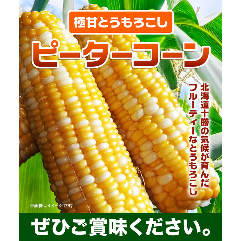 北海道本別町のふるさと納税 極甘とうもろこし ピーターコーン 20本 特大サイズ(1本380g以上) 高橋賢三【先行予約】《2025年8月上旬-9月中旬頃出荷》 送料無料 北海道 本別町 北海道 十勝 本別町産 極甘 特大 とうもろこし バイカラー フルーティー とうきび トウモロコシ 高糖度 夏野菜 旬