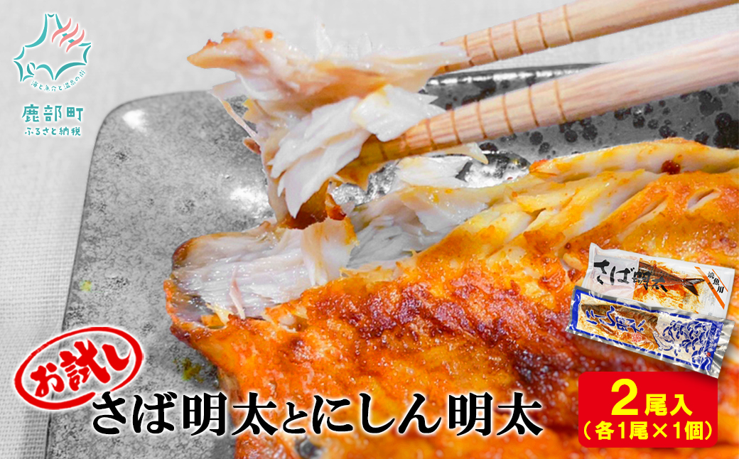 ykCzyۑNꐅYz ΖƂɂ񖾑 e1