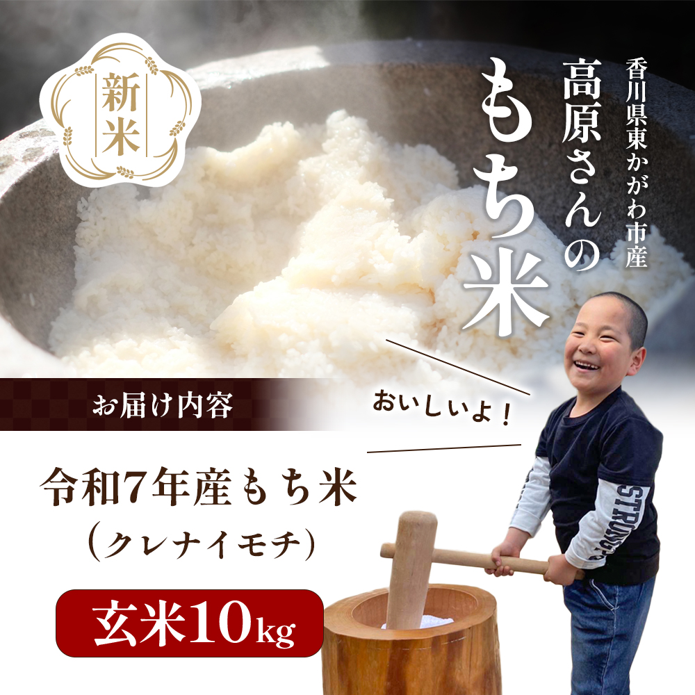 香川県東かがわ市のふるさと納税 【令和7年新米】高原さんの  もち米10kg（クレナイ）玄米 餅米 餅 お米